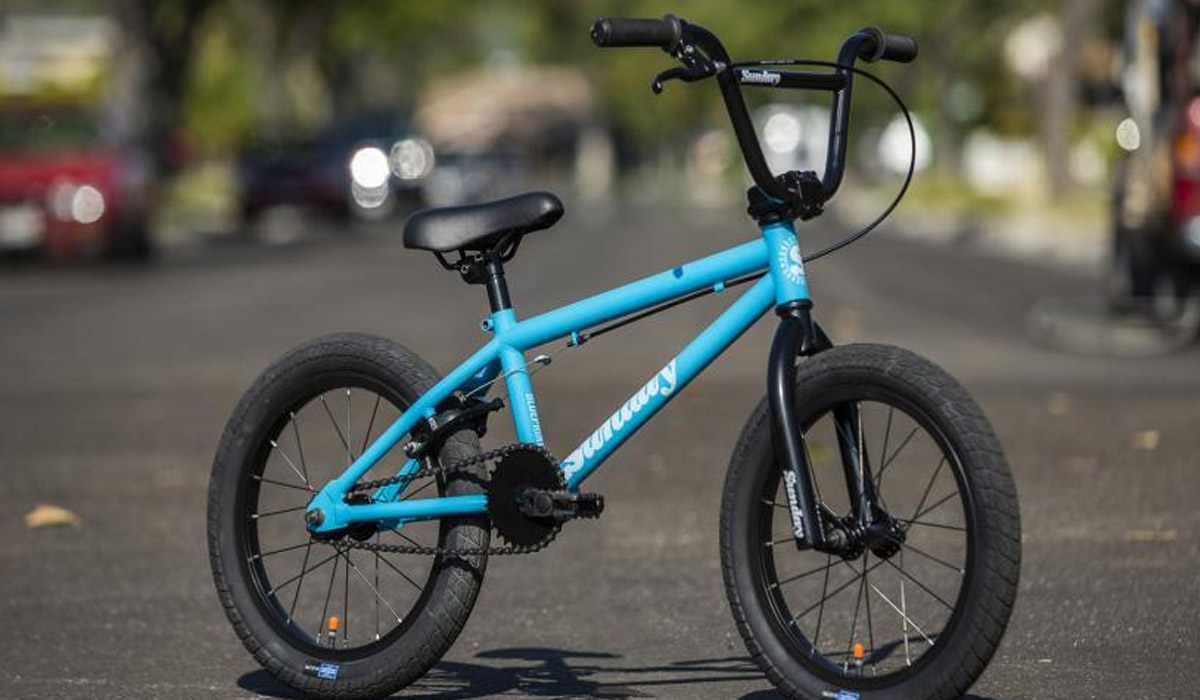 6 Glaring Reasons Why BMX Bikes Are Every Bikers Dream